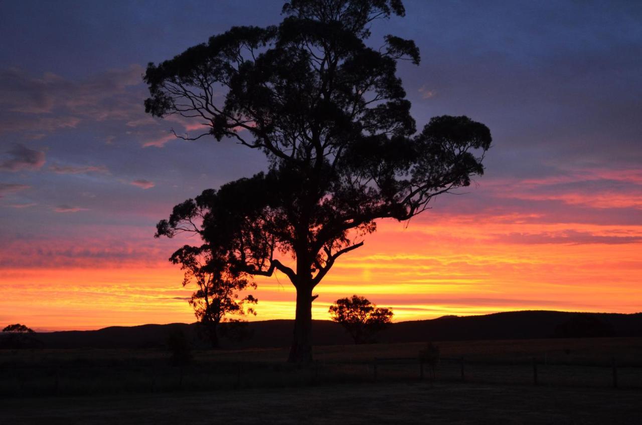 Bed and Breakfast Rooks Edge Gisborne Zewnętrze zdjęcie