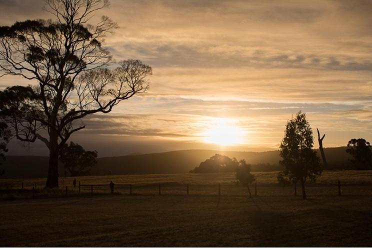 Bed and Breakfast Rooks Edge Gisborne Zewnętrze zdjęcie