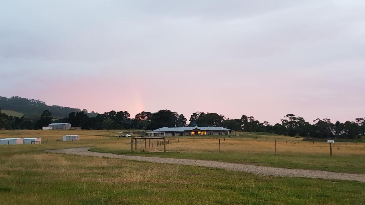 Bed and Breakfast Rooks Edge Gisborne Zewnętrze zdjęcie