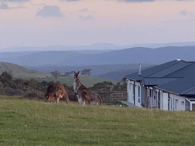 Bed and Breakfast Rooks Edge Gisborne Zewnętrze zdjęcie